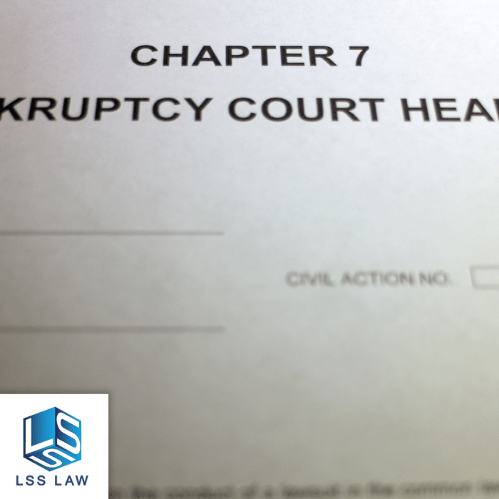 Chapter 7 bankruptcy